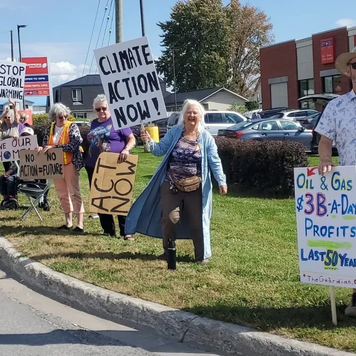 Bunicile verzi: cum sunt mobilizate de stânga în Canada