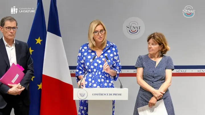 Shadowban de stat: Senatul francez propune o „poliție a gândirii” înainte de 2027